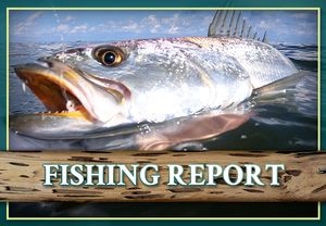 Fishing Report